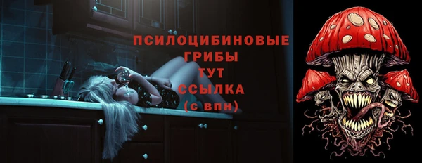 крисы Балахна