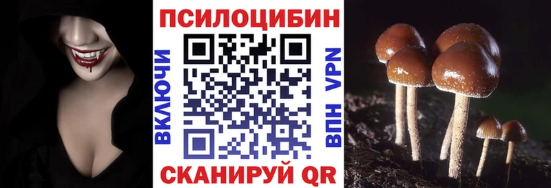 KRAKEN как войти  Семилуки  Галлюциногенные грибы прущие грибы 